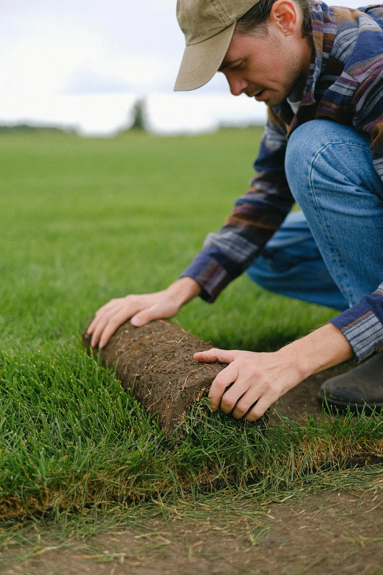 Fresh sod being laid on prepared ground